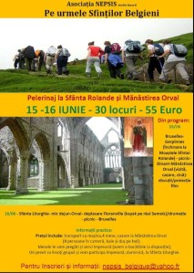 afis Sfanta Rolande (Custom)