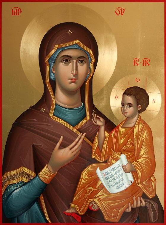 MD Povatuitoarea net