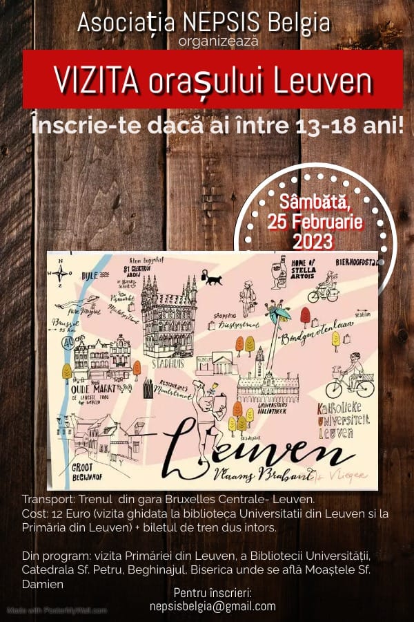 Vizita Orasului Leuven