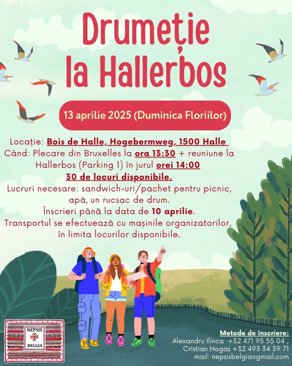 Drumeție în pădurea&nbsp;Hallerbos